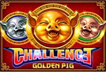 Challenge・golden Pig
