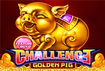 Feature Buy・golden Pig